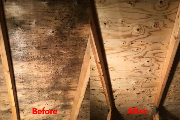 water damage restoration service Mount Rainier